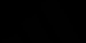 Adidas logo — Captured Celebrations corporate client